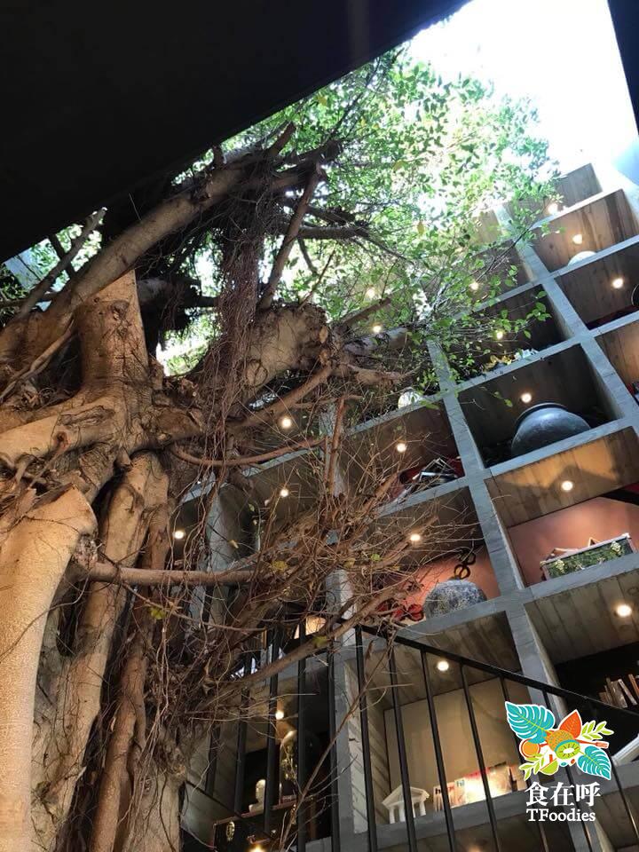 樂樂書屋 x 食在呼 品味橄欖油與味蕾的美麗邂逅 活動照片 10