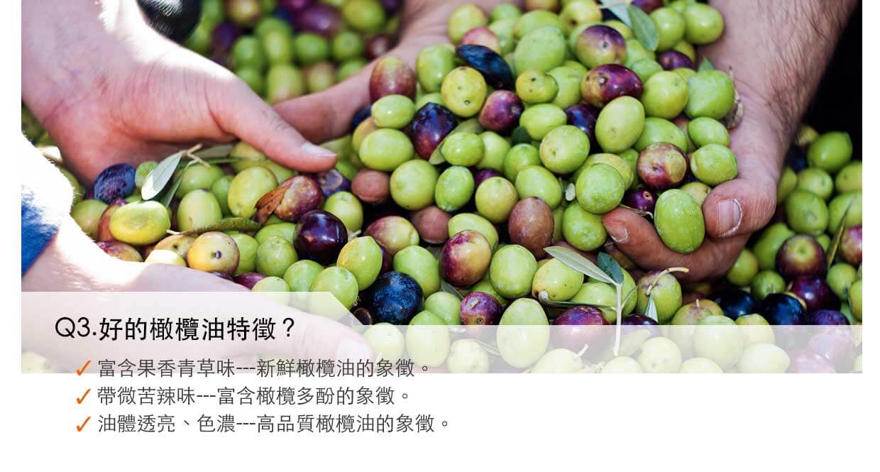 好的橄欖油的特徵