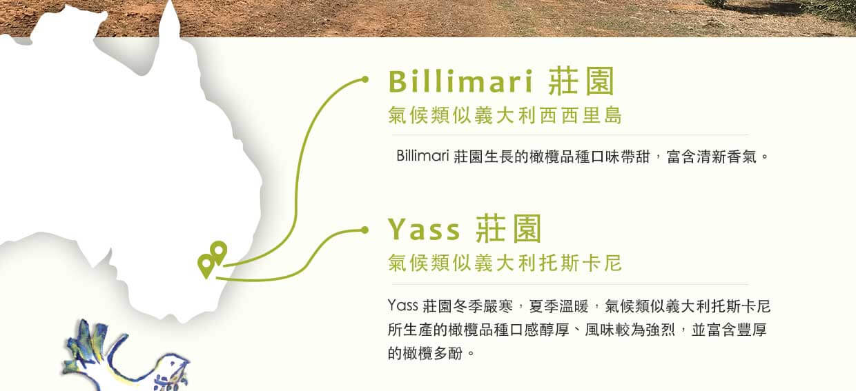 兩處莊園因氣候的不同，所孕育出的橄欖果實也很獨特，billimari生產的橄欖品種一種帶甜，富含清新香氣；Yass莊園則是口感醇厚風味較強