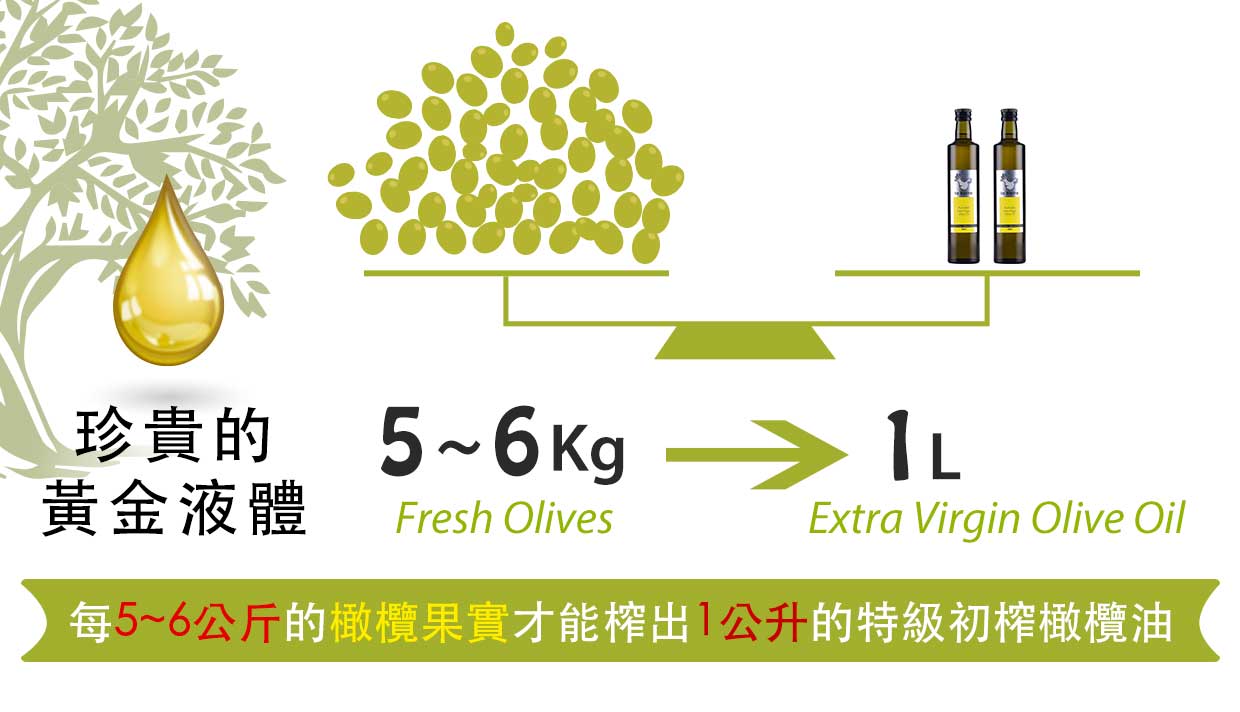 澳洲樂霸的特級初榨橄欖油之所以珍貴，因為每5-6公斤的橄欖果實才能榨出1公升的特級初榨橄欖油！